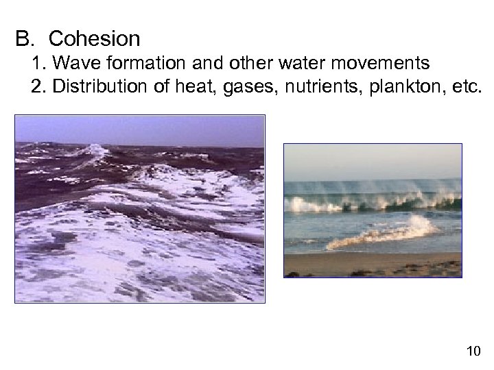 B. Cohesion 1. Wave formation and other water movements 2. Distribution of heat, gases,