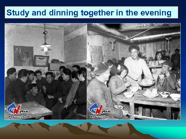 Study and dinning together in the evening 