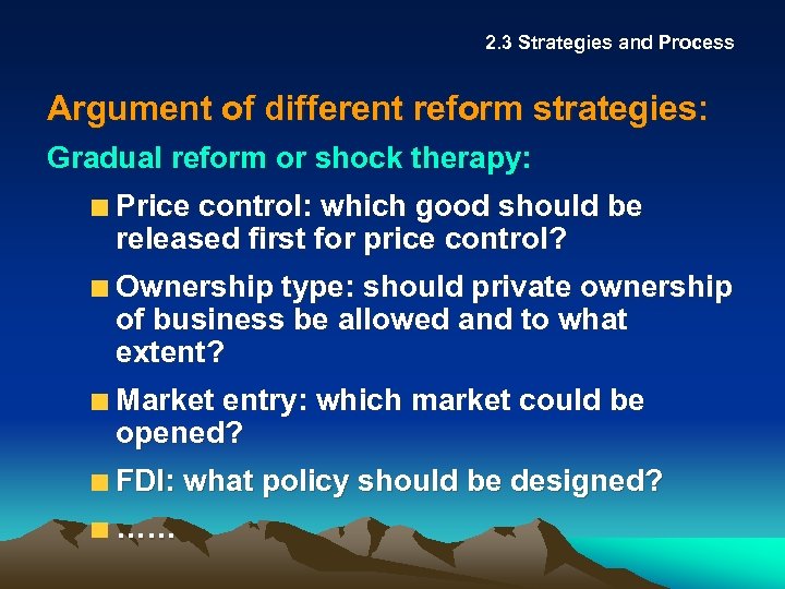 2. 3 Strategies and Process Argument of different reform strategies: Gradual reform or shock