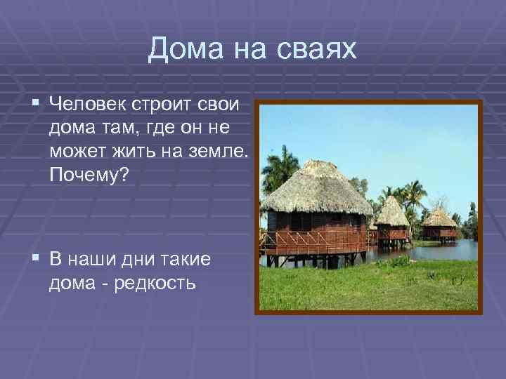 Дома на сваях § Человек строит свои дома там, где он не может жить