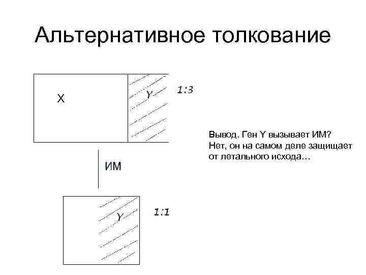 Альтернативное толкование Вывод. Ген Y вызывает ИМ? Нет, он на самом деле защищает от