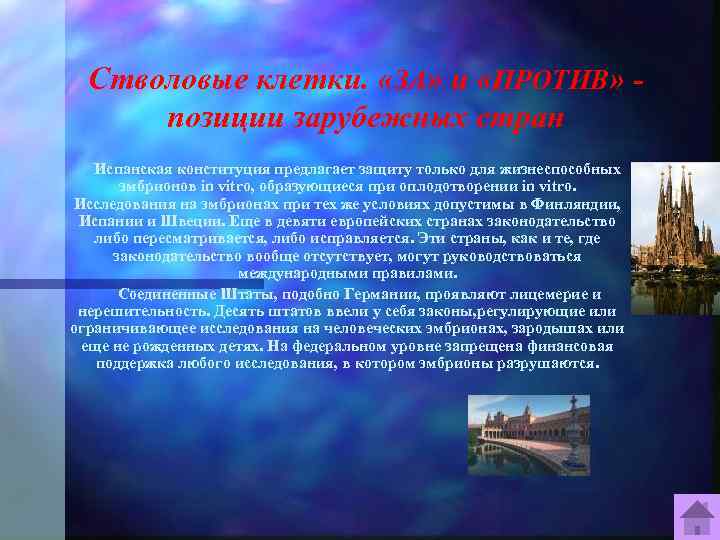 Стволовые клетки. «ЗА» и «ПРОТИВ» позиции зарубежных стран Испанская конституция предлагает защиту только для