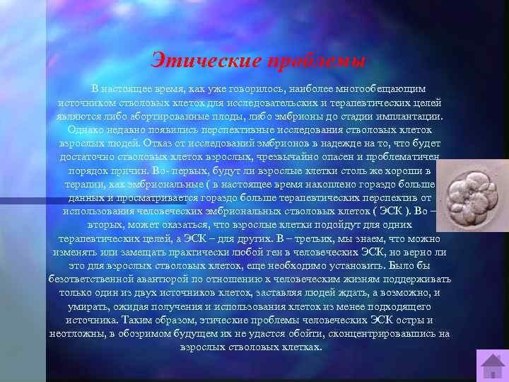 Этические проблемы В настоящее время, как уже говорилось, наиболее многообещающим источником стволовых клеток для