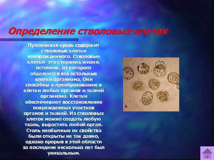 Определение стволовых клеток Пуповинная кровь содержит стволовые клетки новорожденного. Стволовые клетки- это стержень жизни,
