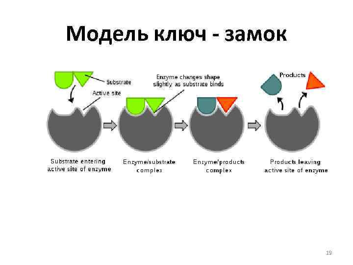 Модель ключ - замок 19 