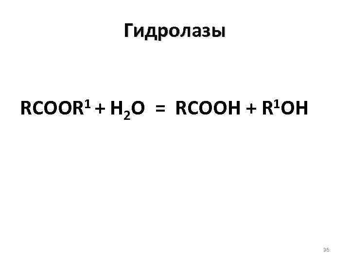 Гидролазы 1+ RCOOR H 2 O = RCOOH + 1 OH R 36 