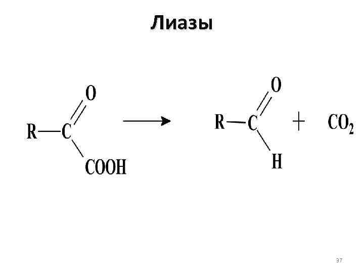 Лиазы 37 