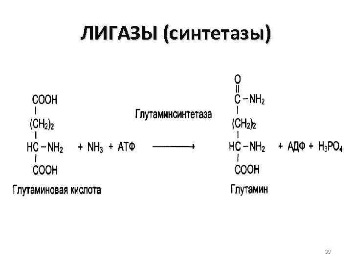 ЛИГАЗЫ (синтетазы) 39 