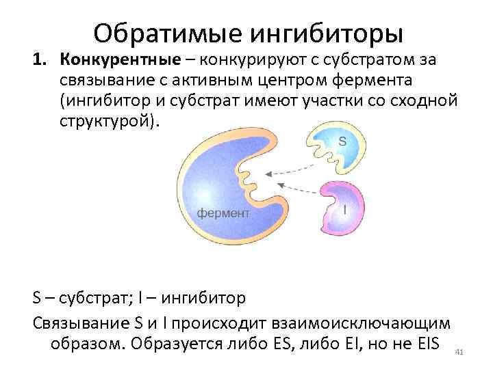 Конкурентное ингибирование ферментов. Конкурентный Тип ингибирования у фермента. Типы ингибирования ферментов. Обратимое ингибирование. Конкурентное ингибирование примеры.