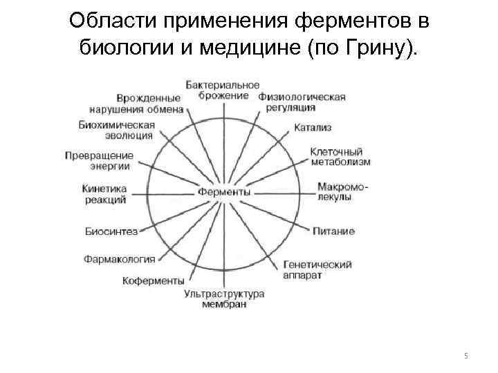 Области применения ферментов в биологии и медицине (по Грину). 5 