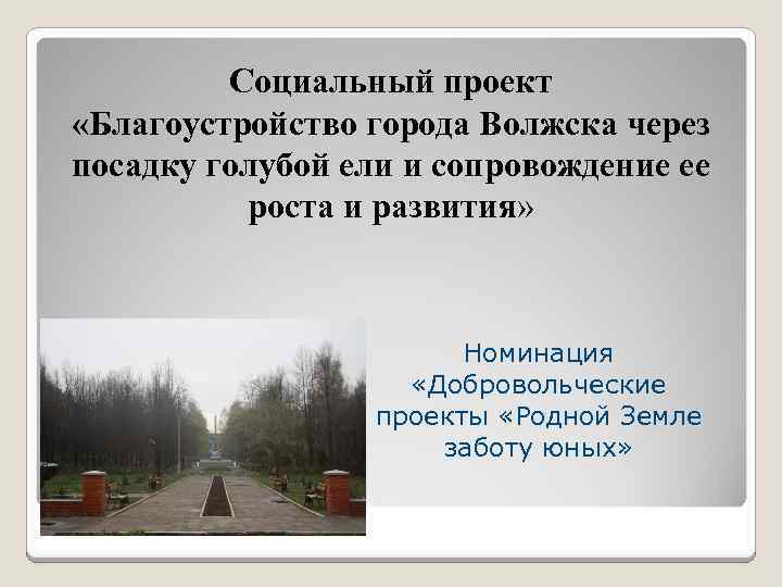 Социальный проект «Благоустройство города Волжска через посадку голубой ели и сопровождение ее роста и