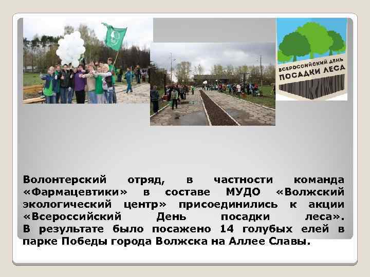 Волонтерский отряд, в частности команда «Фармацевтики» в составе МУДО «Волжский экологический центр» присоединились к