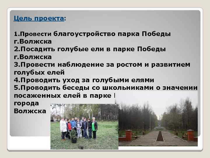 Цель проекта: 1. Провести благоустройство парка Победы г. Волжска 2. Посадить голубые ели в