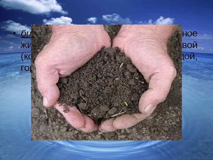 Почва какое вещество биосферы. Биокосное вещество. Ил вещество биосферы. Ил биокосное. Почва биокосное вещество.