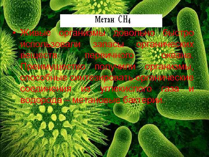  • Живые организмы довольно быстро использовали запасы органических веществ первичного океана. Преимущество получили