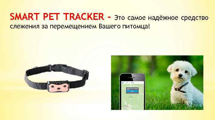 SMART PET TRACKER - Это самое надёжное средство слежения за перемещением Вашего питомца! 