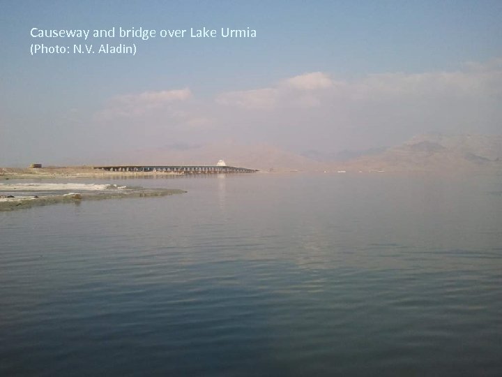 Causeway and bridge over Lake Urmia (Photo: N. V. Aladin) 