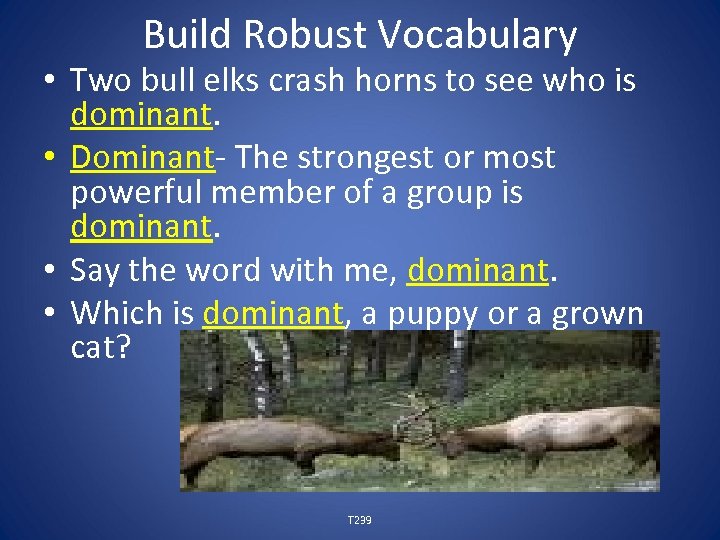 Build Robust Vocabulary • Two bull elks crash horns to see who is dominant.