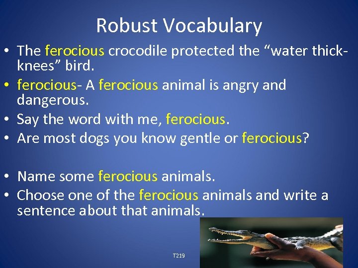 Robust Vocabulary • The ferocious crocodile protected the “water thickknees” bird. • ferocious- A