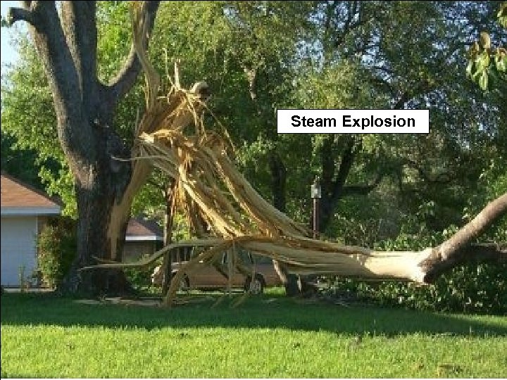 Steam Explosion 