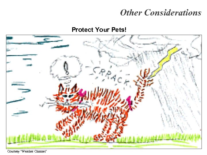 Other Considerations Protect Your Pets! Courtesy ‘Weather Channel’ 