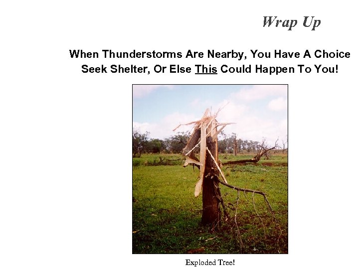 Wrap Up When Thunderstorms Are Nearby, You Have A Choice Seek Shelter, Or Else