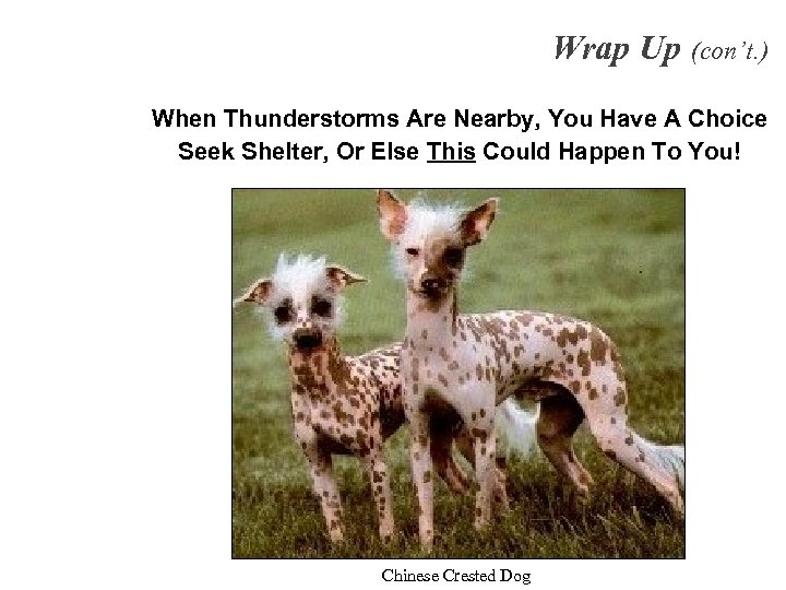 Wrap Up (con’t. ) When Thunderstorms Are Nearby, You Have A Choice Seek Shelter,