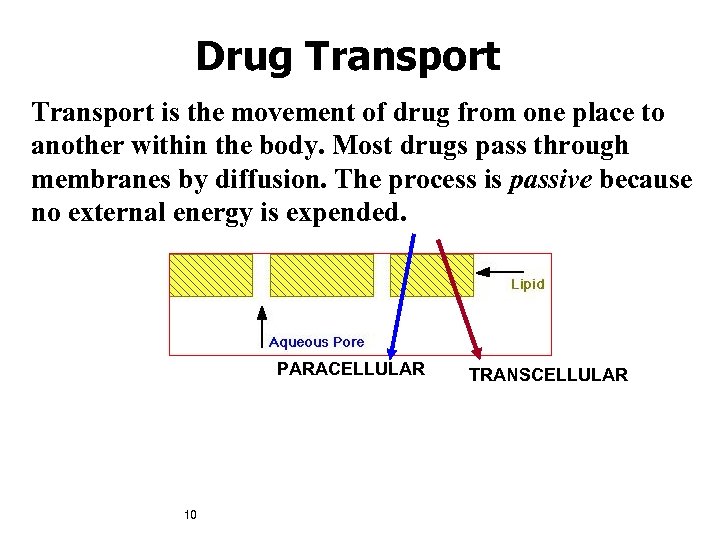 Drug Transport is the movement of drug from one place to another within the