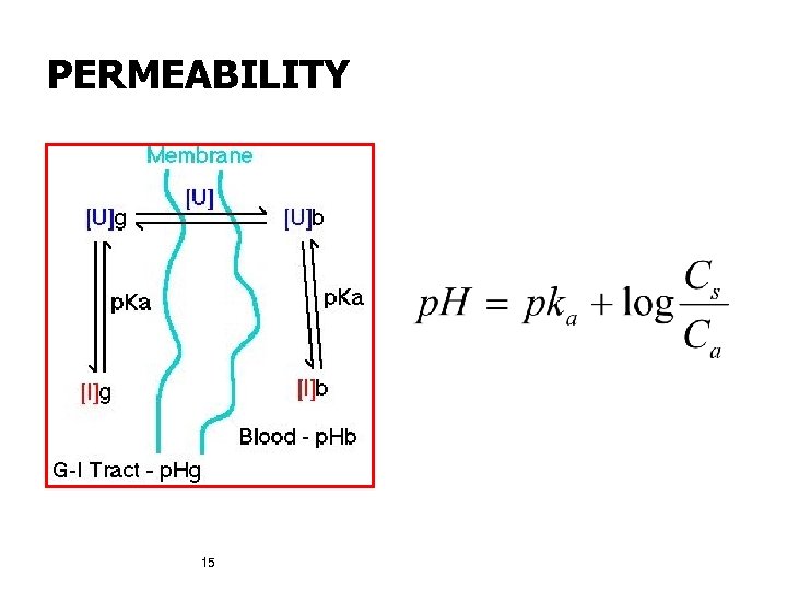 PERMEABILITY 15 