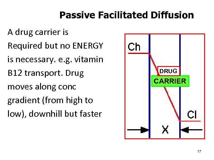 Passive Facilitated Diffusion A drug carrier is Required but no ENERGY is necessary. e.