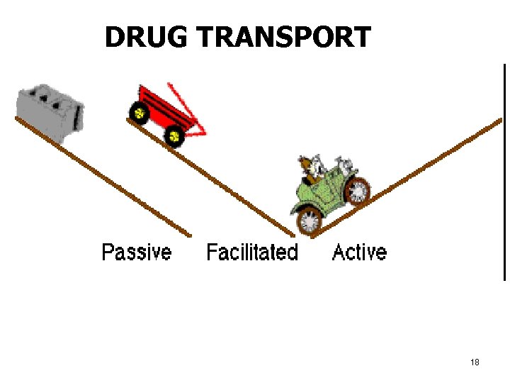 DRUG TRANSPORT 18 