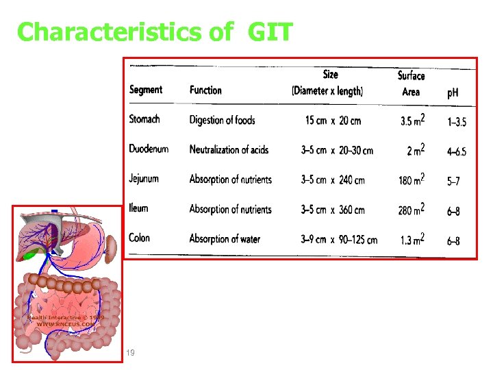 Characteristics of GIT 19 