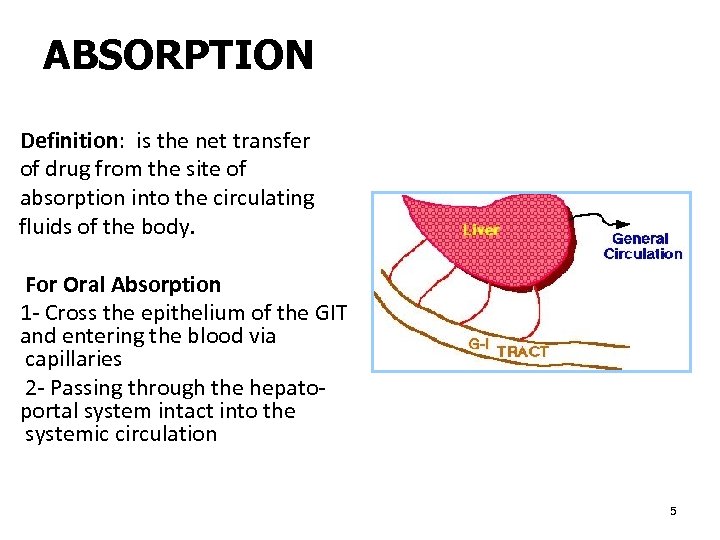 CHAPTER 7 ABSORPTION KINETICS 1 ABSORPTION GIT