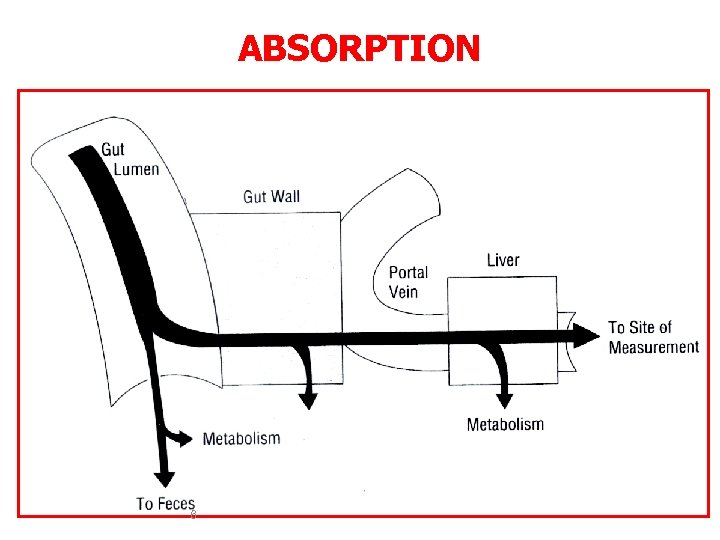 ABSORPTION 6 