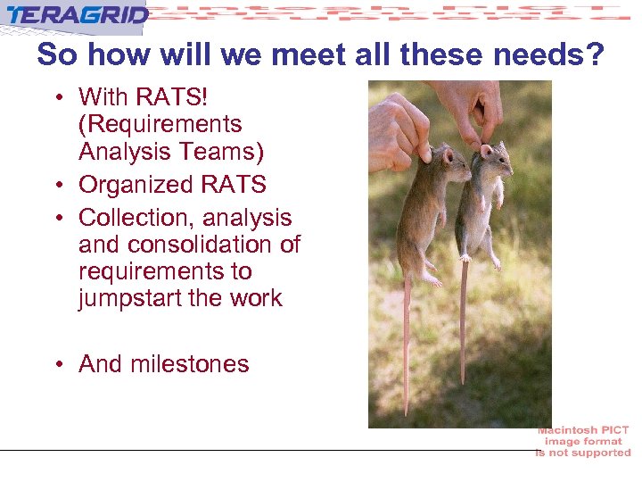 So how will we meet all these needs? • With RATS! (Requirements Analysis Teams)