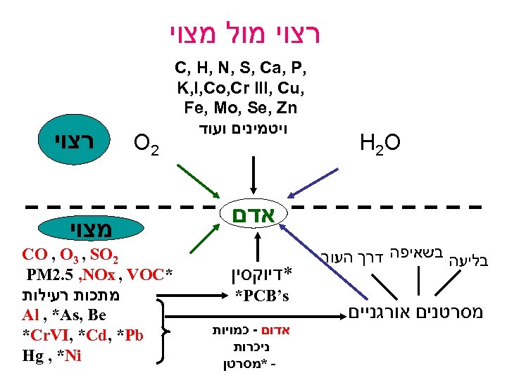  רצוי מול מצוי H 2 O , C, H, N, S, Ca, P