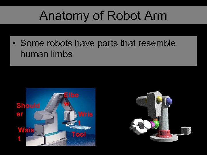 Anatomy of Robot Arm • Some robots have parts that resemble human limbs Should