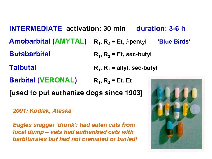 INTERMEDIATE activation: 30 min duration: 3 -6 h Amobarbital (AMYTAL) R 1, R 2