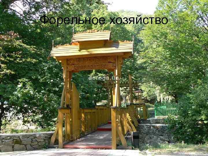 Форельное хозяйство 