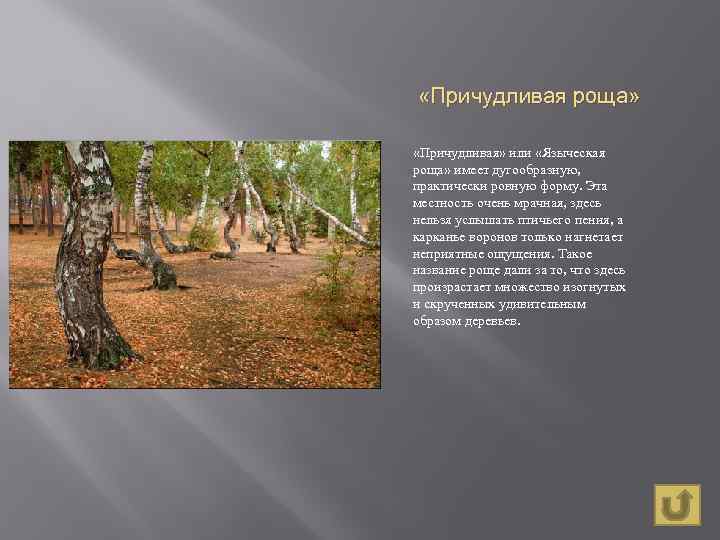  «Причудливая роща» «Причудливая» или «Языческая роща» имеет дугообразную, практически ровную форму. Эта местность