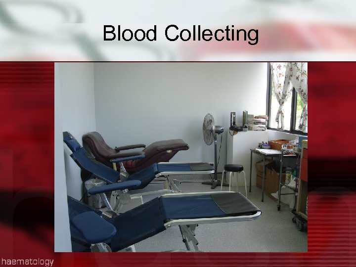 Blood Collecting 