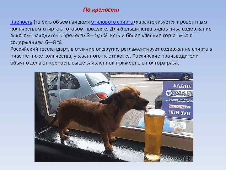 По крепости Крепость (то есть объёмная доля этилового спирта) характеризуется процентным количеством спирта в