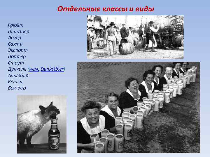 Отдельные классы и виды Грюйт Пильзнер Лагер Сахти Экспорт Портер Стаут Дункель (нем. Dunkelbier)