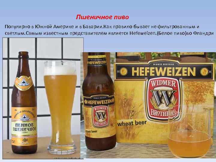 Пшеничное пиво Популярно в Южной Америке и в Баварии. Как правило бывает не фильтрованным