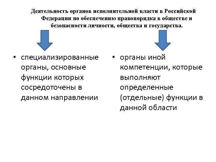 Деятельность органов исполнительной власти в Российской Федерации по обеспечению правопорядка в обществе и безопасности
