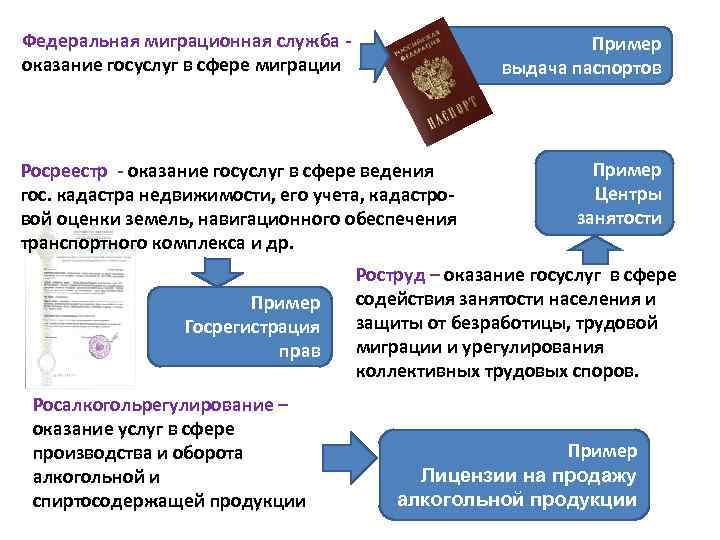 Федеральная миграционная служба оказание госуслуг в сфере миграции Пример выдача паспортов Росреестр - оказание