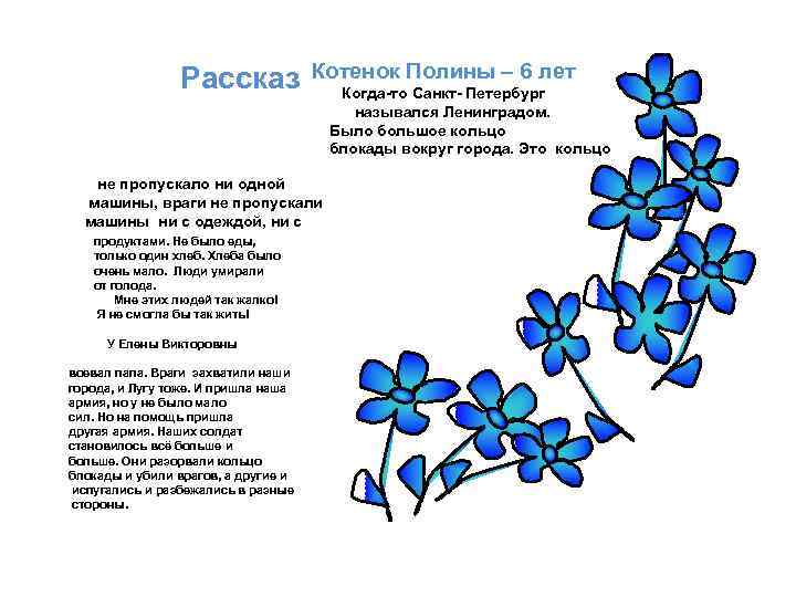 Рассказ Котенок Полины – 6 лет не пропускало ни одной машины, враги не пропускали