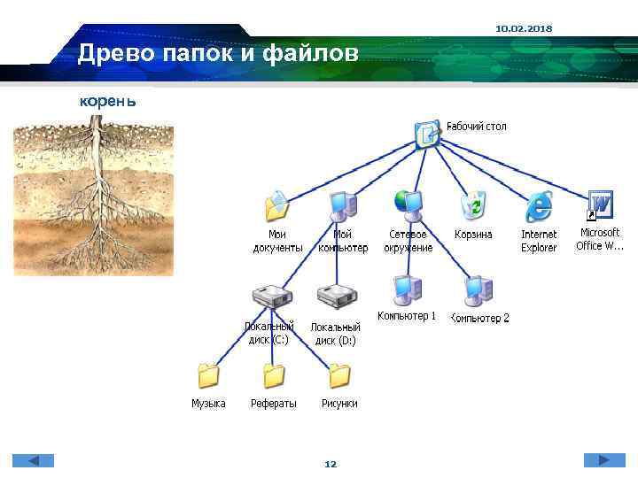 10. 02. 2018 Древо папок и файлов корень 12 