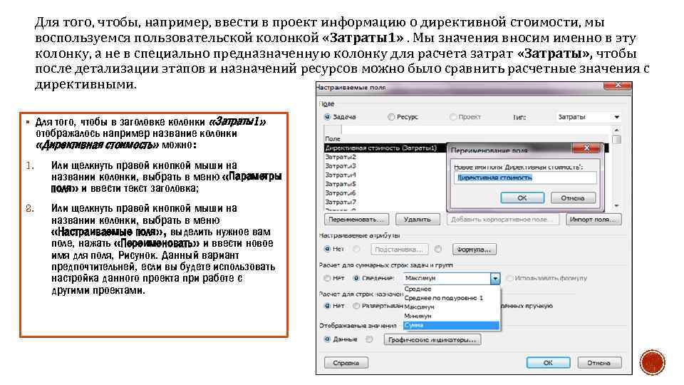 Для того, чтобы, например, ввести в проект информацию о директивной стоимости, мы воспользуемся пользовательской