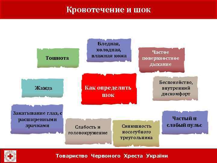 Кровотечение и шок f. how to recognise and treat clinical shock Тошнота Бледная, холодная,